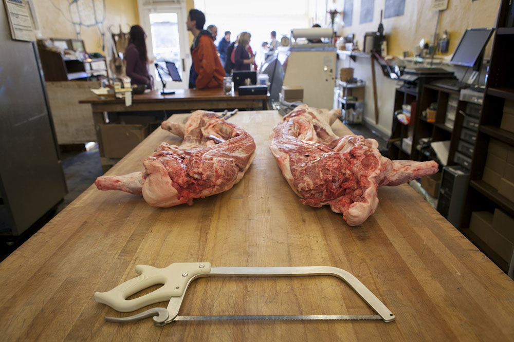 Class on how to butcher a pig